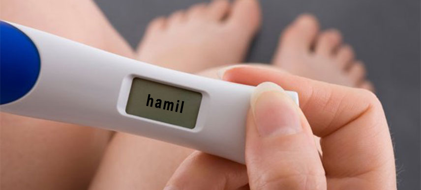 hamil