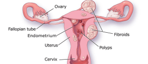 Screen Shot 2014-05-17 at 8.06.17 PM