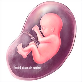 bayi dlm air